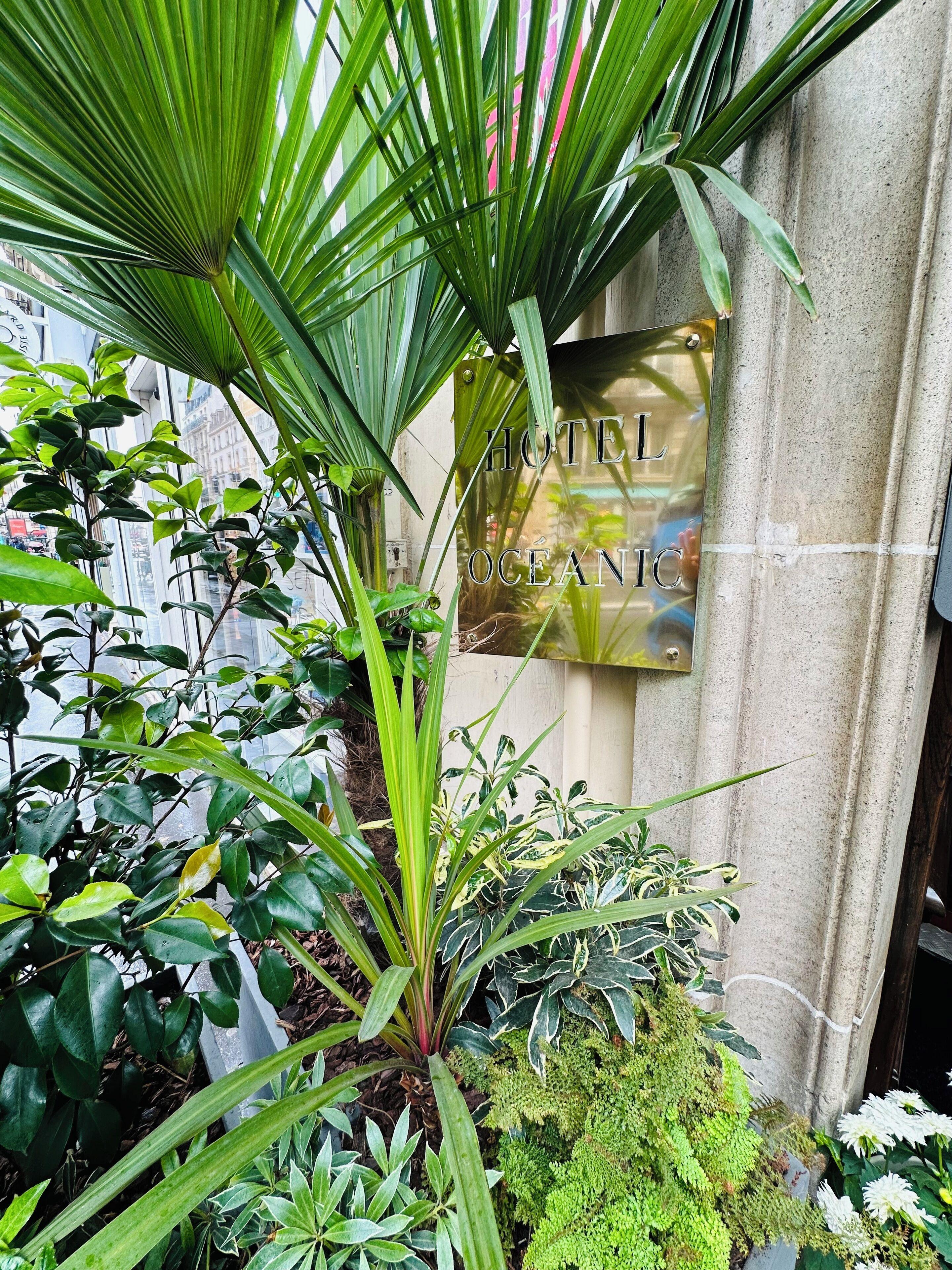 Oceanic - Grands Magasins Hotel